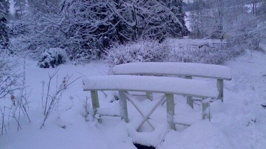 Snötäckt bro och trädgård.