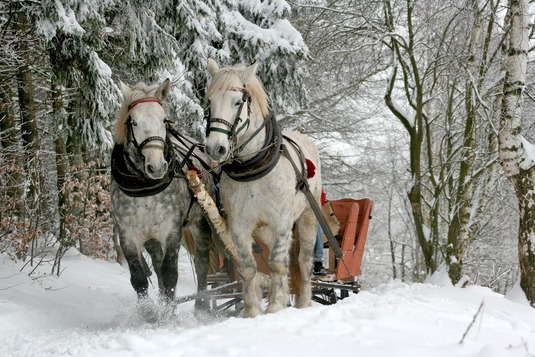 Hästsläde, foto: Pixabay.