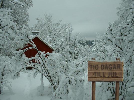 Snöklädda buskar och en skylt med texten "tio dagar till jul".